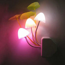 Pack Of 2 LED Night Light Mushroom Lamp with automatic sensor control